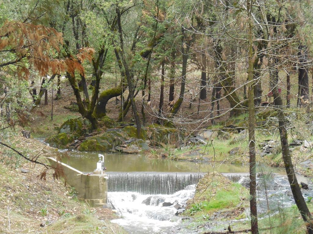 Yosemite Paradise Inn Coulterville Esterno foto